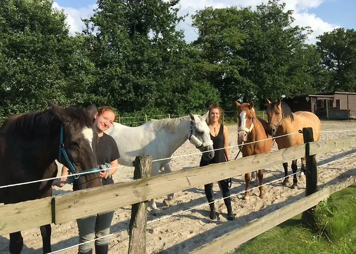 Country house Welsch *